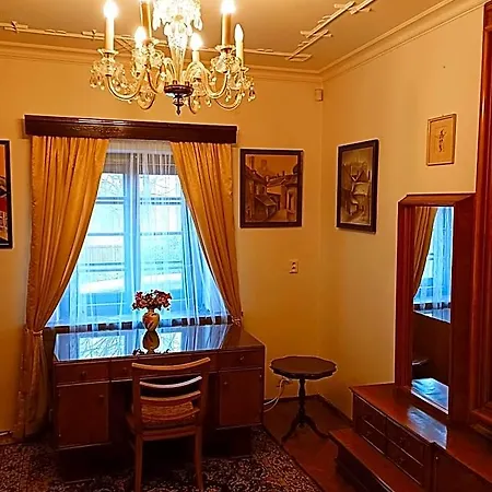酒店 Boutique & Wellness Spitzerova Eliska 4*